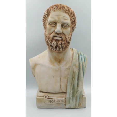 Hippocrates bust statue